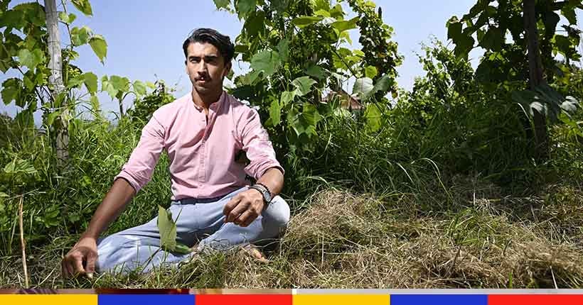 La folle histoire du réfugié afghan fondu de vins naturels en Alsace