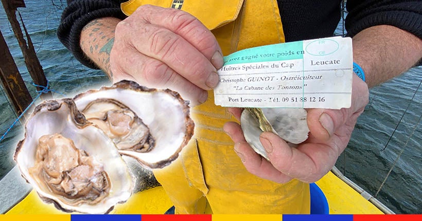 Pourquoi des ostréiculteurs cachent-ils des petits mots dans leurs huîtres ?